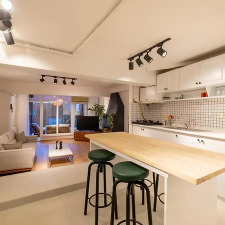 Apartment Jardin Maison Newly Renovated 1 Bedroom Apt In Galata Istanbul